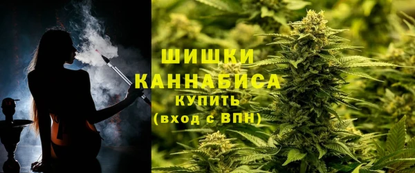 ГАЛЛЮЦИНОГЕННЫЕ ГРИБЫ Волосово