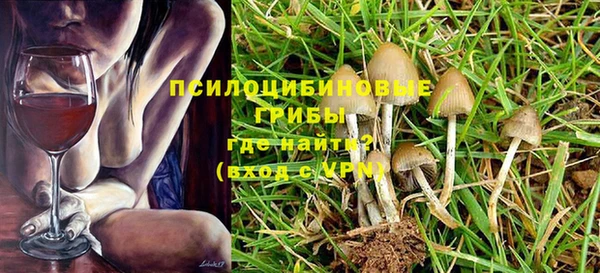 ГАЛЛЮЦИНОГЕННЫЕ ГРИБЫ Волосово