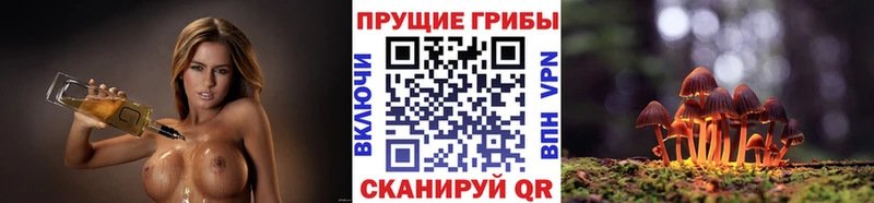Галлюциногенные грибы GOLDEN TEACHER mega Енисейск